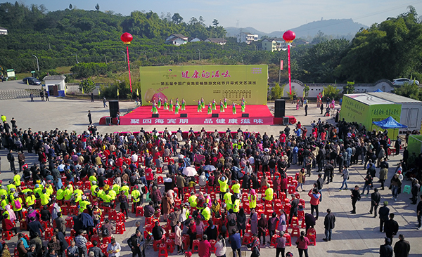 健康的滋味"第五届中国广安龙安柚旅游文化节开幕式在广安市广安区龙