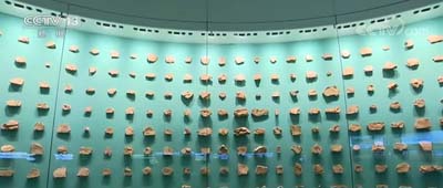 ※超稀少謎個体 Chancelloria 化石 カンセロリア 澄江動物群 超稀少謎個体 Chancelloria 化石 カンセロリア 澄江動物群 超