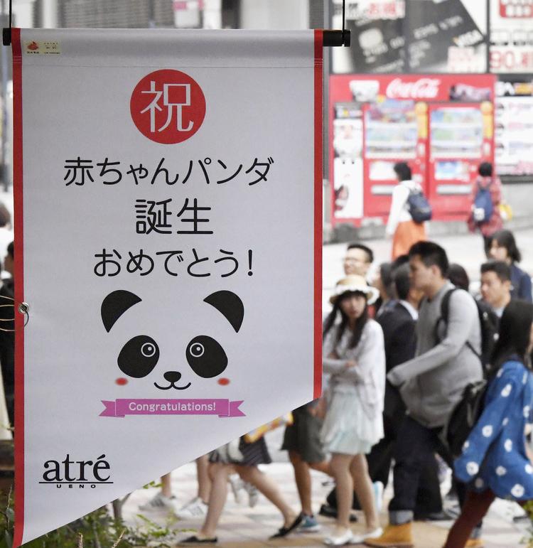 旅美大熊猫成功产崽 美国民众:黑暗中唯一的好消息