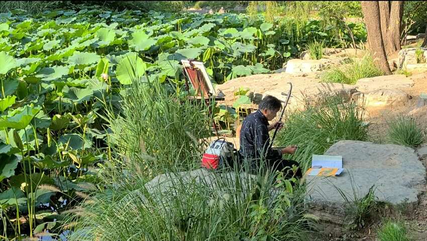 图片默认标题_fororder_yuyuantan10