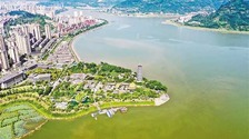 【城市远洋带图】鱼跃小溪河 鸟栖汉丰湖