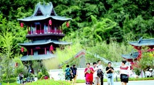 （中首）绿博会绿化博览园进行压力测试