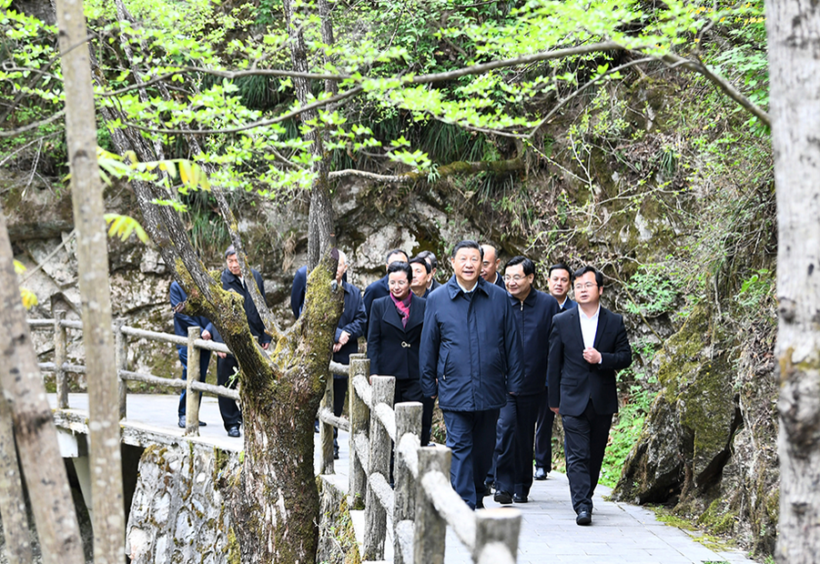 初心印记⑮ 打造高质量发展的“绿色”引擎_fororder_1597371457131_175