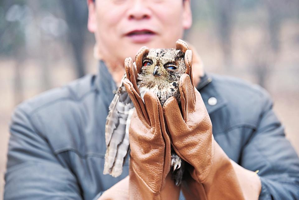 【焦点图-大图】【移动端-焦点图】【图说4】3月3日郑州开展“世界野生动植物日”公益活动