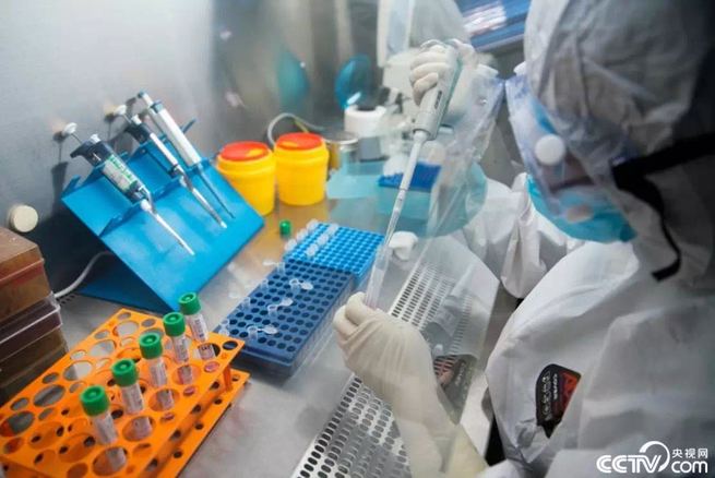 图片默认标题_fororder_WechatIMG1875