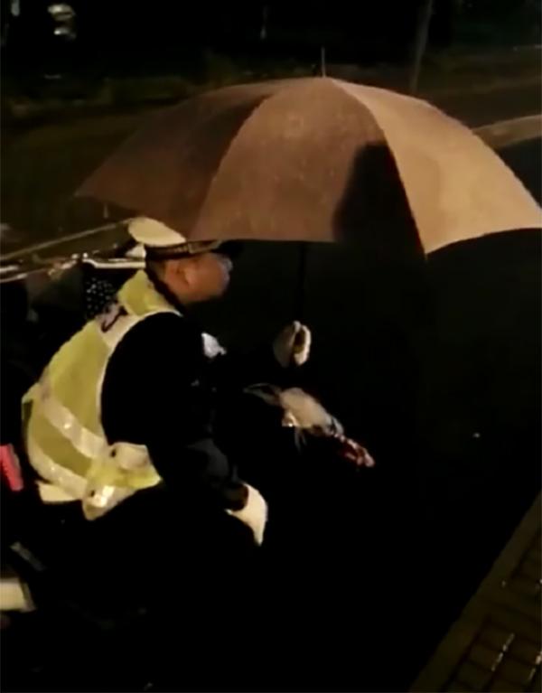 市民雨夜摔伤无法动弹 辅警蹲守20分钟撑伞