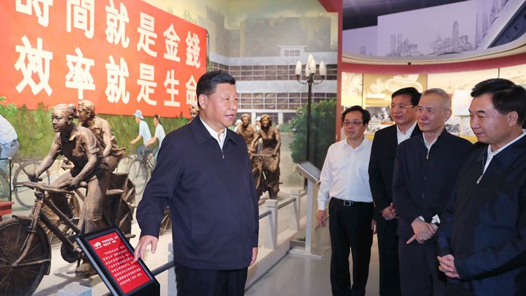 40 Tahun Berdirinya Zona Ekonomi Khusus Shenzhen, Kenangan Indah Di Bawah Pohon Ficus 40 Tahun Berdirinya Zona Ekonomi Khusus Shenzhen, Kenangan Indah Di Bawah Pohon Ficus_fororder_xx1