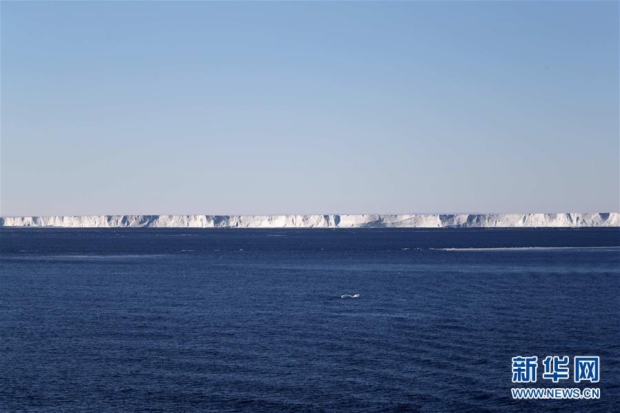 特写：南极西冰架的冰山与动物世界