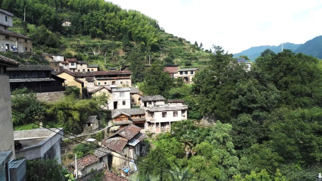绿水青山不负人,生态产业正青春