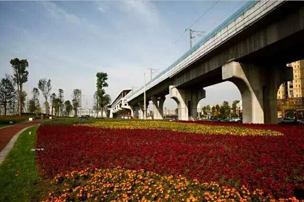绿满鹃城 成都郫都区重塑田园城市形态