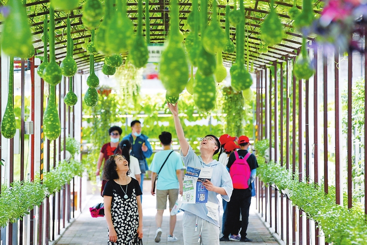 长春农博会：新奇的农业科技和特色作物让游客大饱眼福
