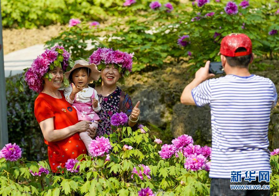 【城市远洋、焦点图、渝情渝景】唯有牡丹真国色 花开时节动山城