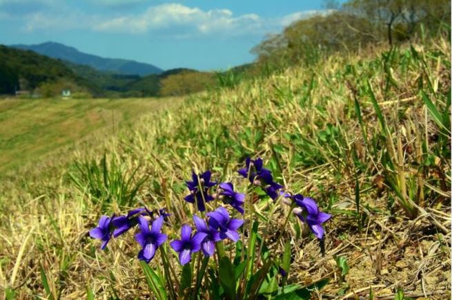 图片默认标题_fororder_WeChat Image_20200331235055Small