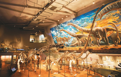 重庆自然博物馆:万千珍藏 见证自然伟力
