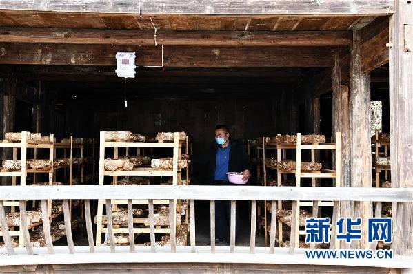（中首）贵州：苗寨吊脚楼里的“居家产业”