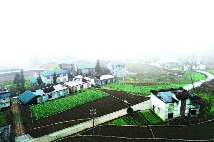 经济日报■脱贫攻坚战场上的“夫妻兵”