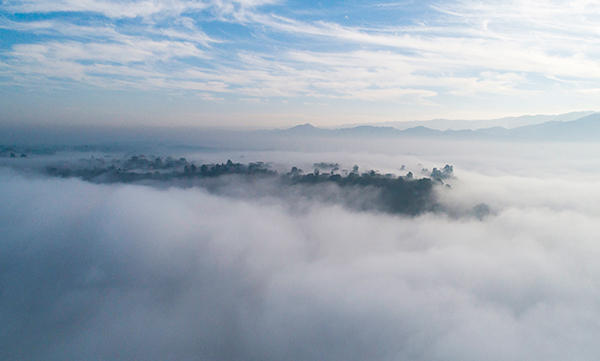 图片默认标题_fororder_山村薄雾萦绕似水墨仙境（3）