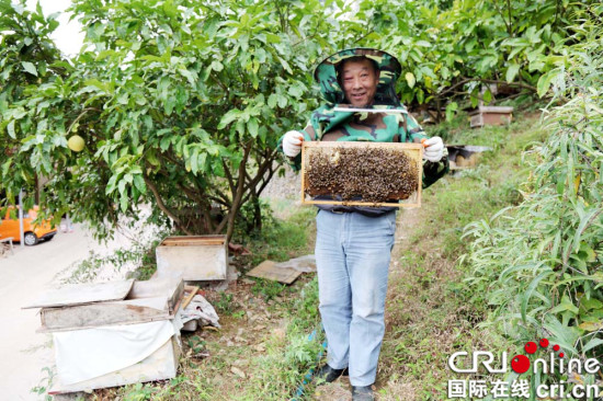 【区县联动】【巫山】重庆巫山绿水村：生态养蜂 脱贫致富