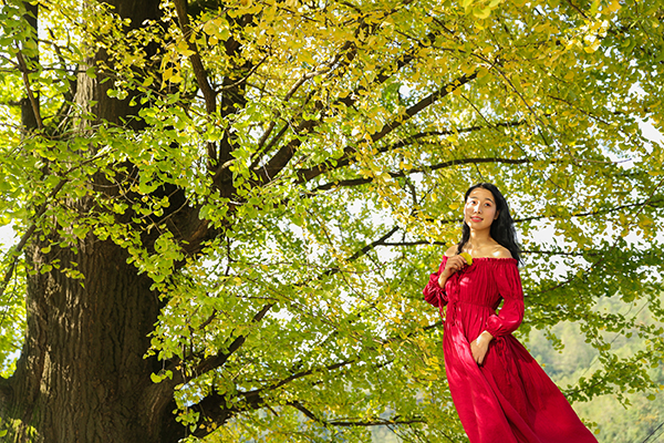 图片默认标题_fororder_市民在华蓥山红岩乡茶园村身披“黄金甲”的千年银杏树下留影