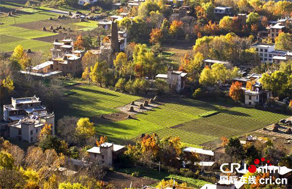 图片默认标题_fororder_1.红叶彩林掩映下的丹巴藏寨-（供图-丹巴县文旅广新局）-
