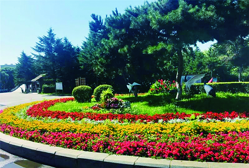 长春市动植物公园:结合本土人文特色 使整体景观显著提升