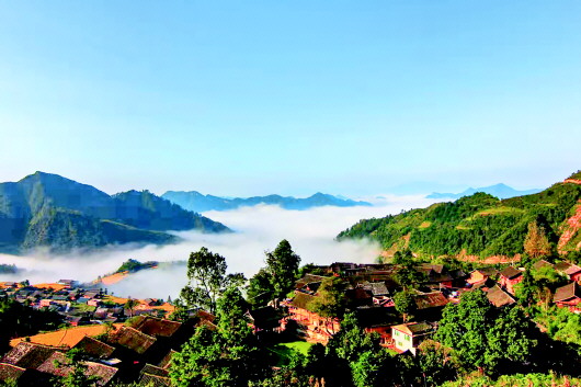 (大生态)擦亮绿色底色 绘就生态画卷 (大生态)擦亮绿色底色 绘就生态画卷