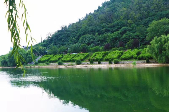 枣庄峄城冠世榴园：小石榴托起致富梦