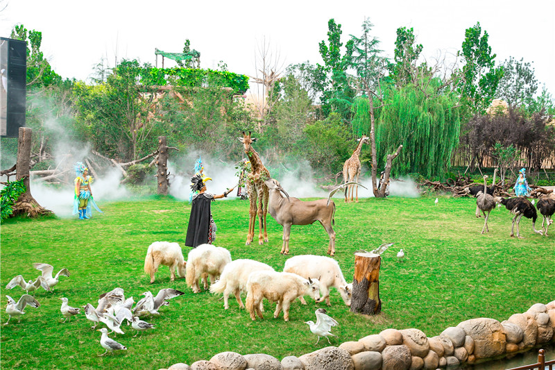 (有修改)【是真的】【A】河南文旅添新名片:银基动物王国正式开园