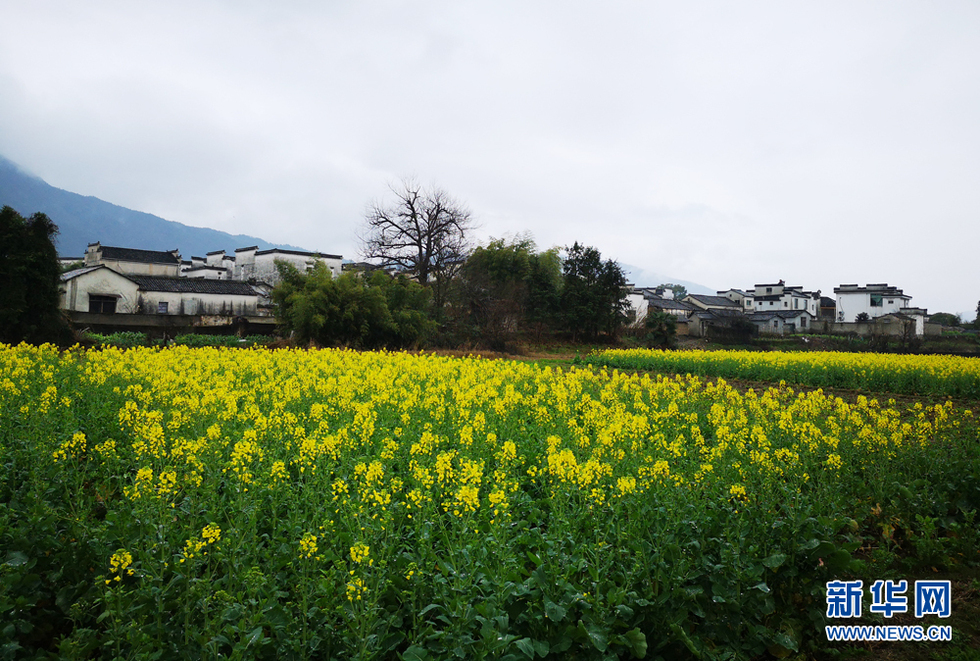 安徽：江南烟雨天 南屏花似海