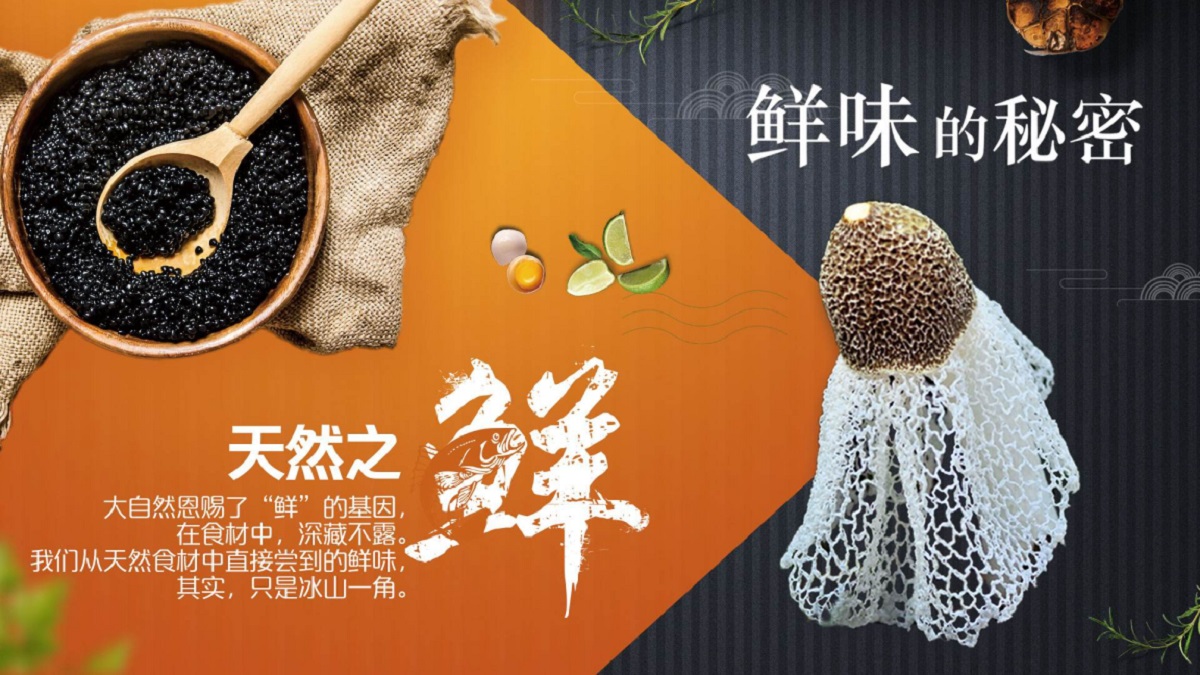 五味至鲜——分子世界的秘密味道 五味至鲜——分子世界的秘密味道