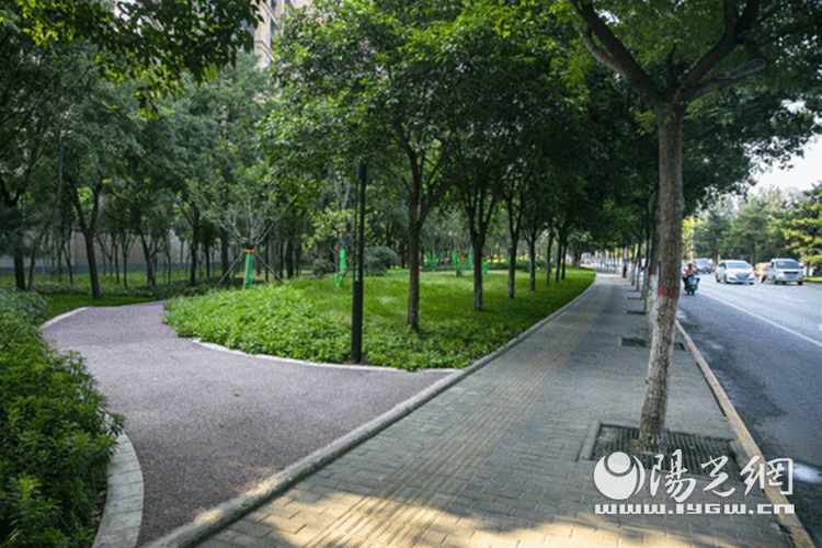 曲江南三环彩色自行车道来了 将于今年年底前完工