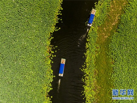 Danau Qiqing Propinsi Liaoning