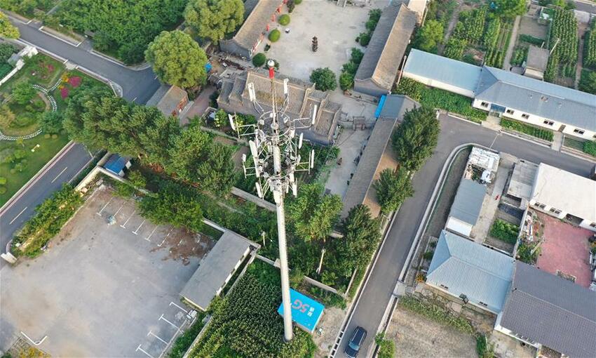 Ayu Budidaya Kepiting Sungai di Sawah_fororder_1126324584_11n