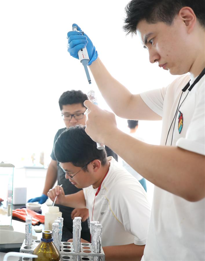 Ayu Budidaya Kepiting Sungai di Sawah_fororder_1126324595_11n