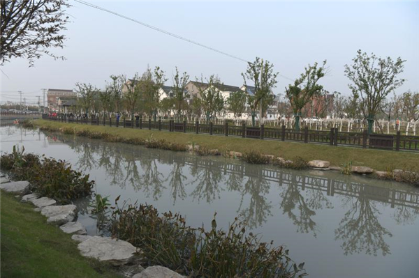 【上海微网首页头条1】上海市总河长李强今巡河：水环境实现根本性好转要出这些硬实招