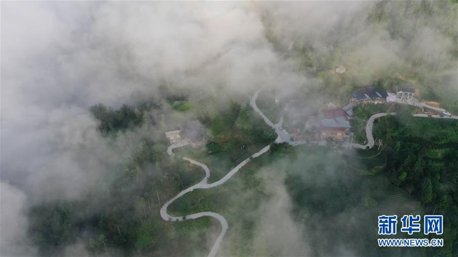 湖北利川:云海似画卷