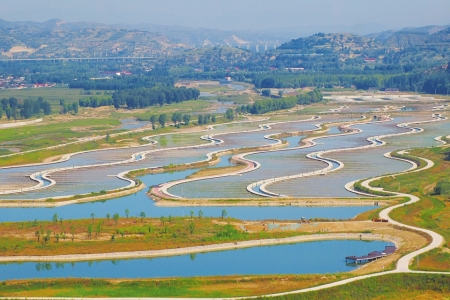 人工湿地 改善水质