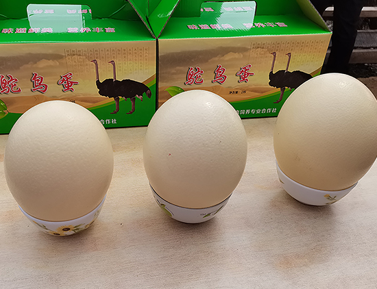 柳青江鸵鸟养殖合作社出售的鸵鸟蛋每个售价为150元