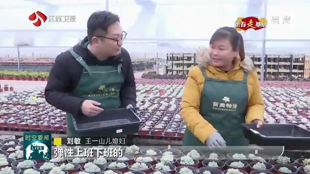 中国江苏网：【新春走基层】刘圩村的“新模样”：农房改善筑起村