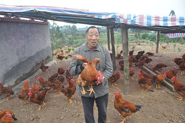 图片默认标题_fororder_4