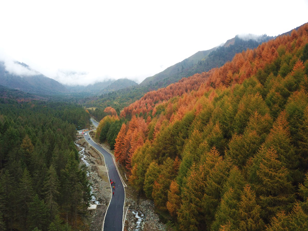 图片默认标题_fororder_4