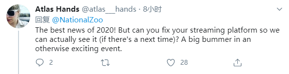 旅美大熊猫成功产崽 美国民众:黑暗中唯一的好消息