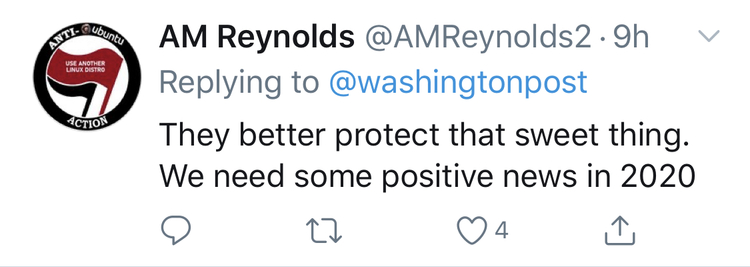 旅美大熊猫成功产崽 美国民众:黑暗中唯一的好消息