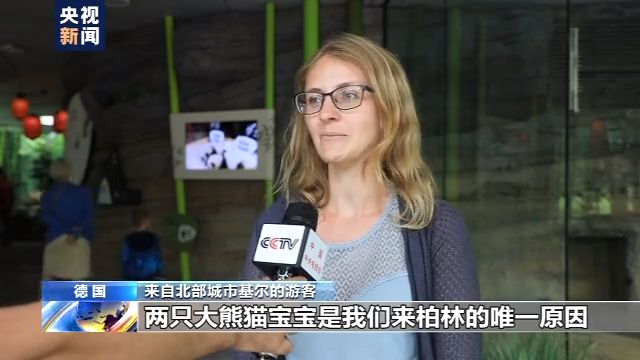 旅美大熊猫成功产崽 美国民众:黑暗中唯一的好消息