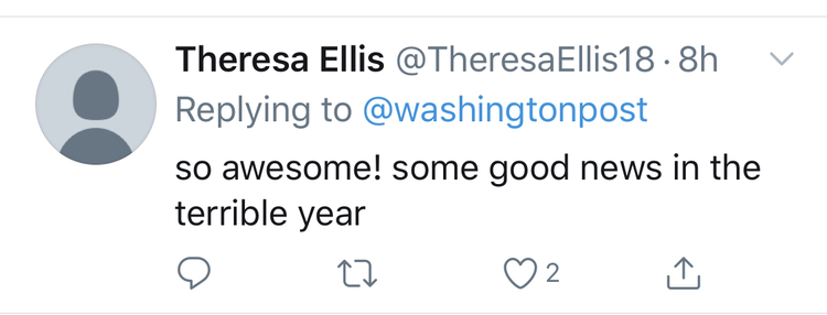 旅美大熊猫成功产崽 美国民众:黑暗中唯一的好消息