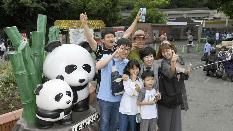 旅美大熊猫成功产崽 美国民众:黑暗中唯一的好消息