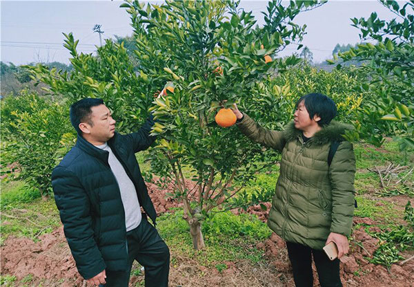 图片默认标题_fororder_1