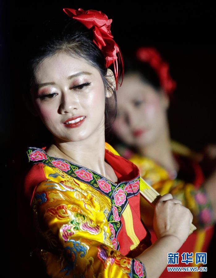 2020年墨西哥华侨华人春节联欢晚会举行