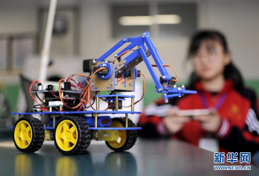 河北邢台：青少年机器人竞赛显身手