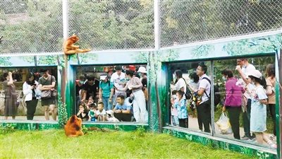 【中首   陕西】秦岭野生动物园单日接待游客近2万人次